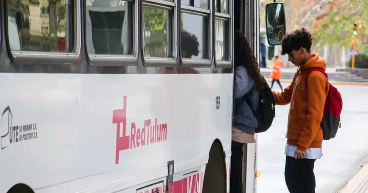 Los detalles de la Ley de Transporte, los controles que se harán y cómo sigue el boleto estudiantil gratuito