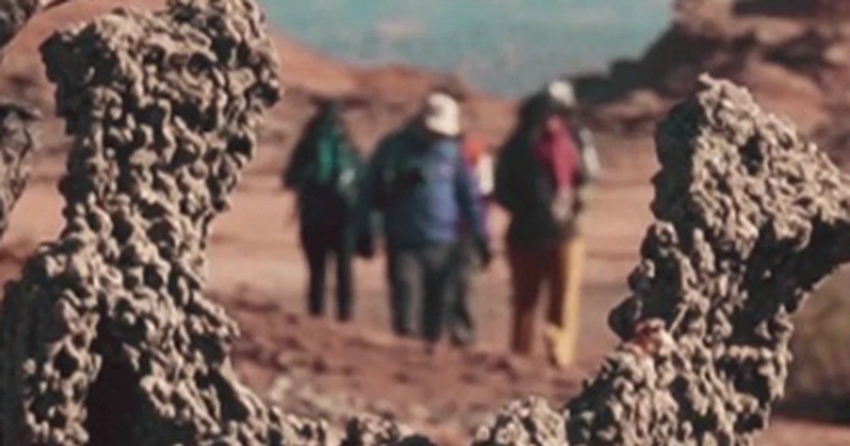 El importante comunicado de Ischigualasto: No forma parte de la programación
