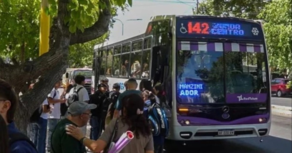 Fuerte advertencia de las empresas de colectivos: alertan por el riesgo de perder servicios en las provincias