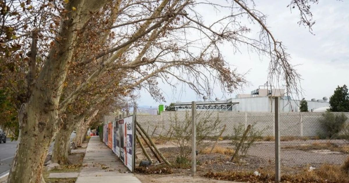 Le bajaron el pulgar al proyecto de una estación de servicio de Rivadavia: qué pasó