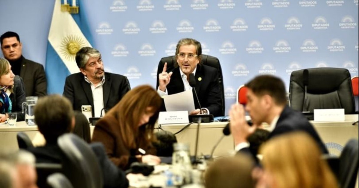 Diputados: empresarios de minería e hidrocarburos respaldan el Super RIGI por su impacto en la competitividad
