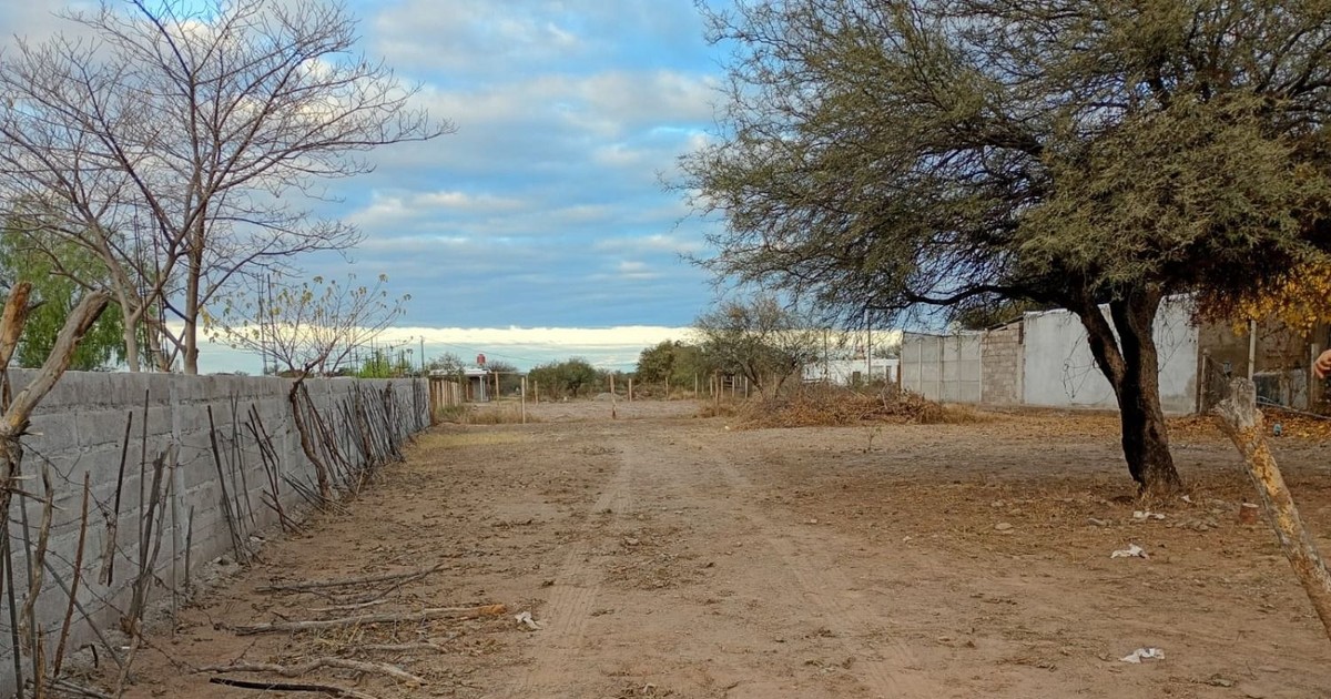 Un anciano murió de forma repentina cuando hachaba un árbol en Valle Fértil