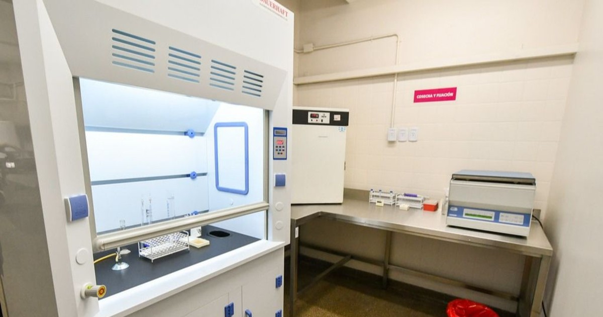 Ampliaron el único Laboratorio de Citogenética de la provincia: cuál es su función