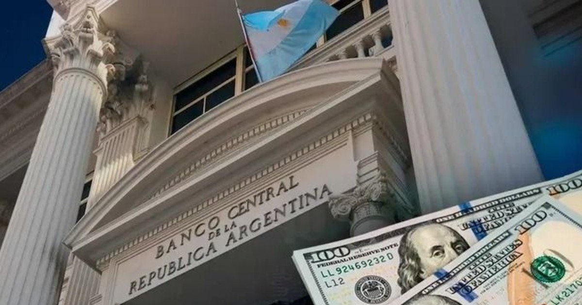 El Banco Central habilitó los préstamos en dólares para empresas: cuáles podrán acceder y qué condición deben cumplir