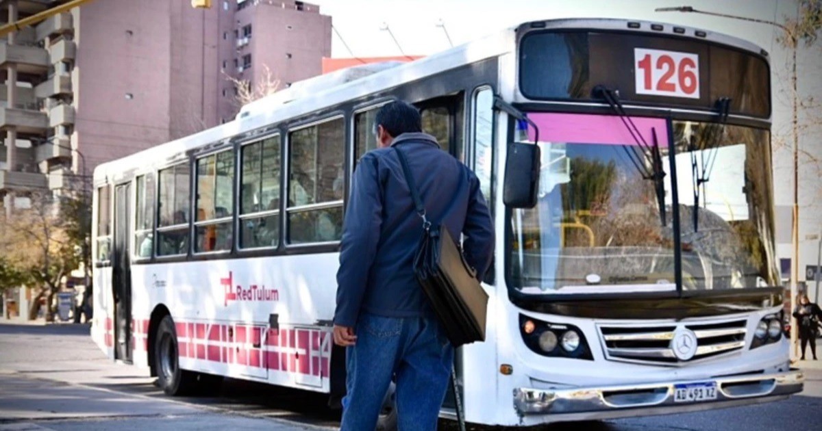 Nación anunció que las personas con discapacidad podrán viajar en colectivo gratis sin certificado