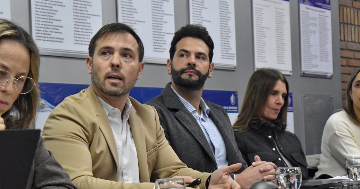 El proyecto de litio "Don Luis" sumó el aval de técnicos del Gobierno y entra en etapa de definiciones