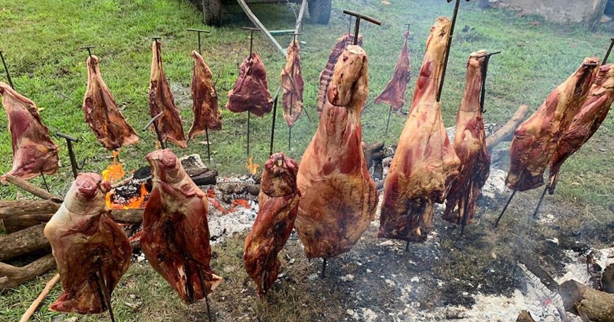 Una carne más barata, con menos grasa y más proteína que la de la vaca ya está en 20 provincias: ¿cuál es?