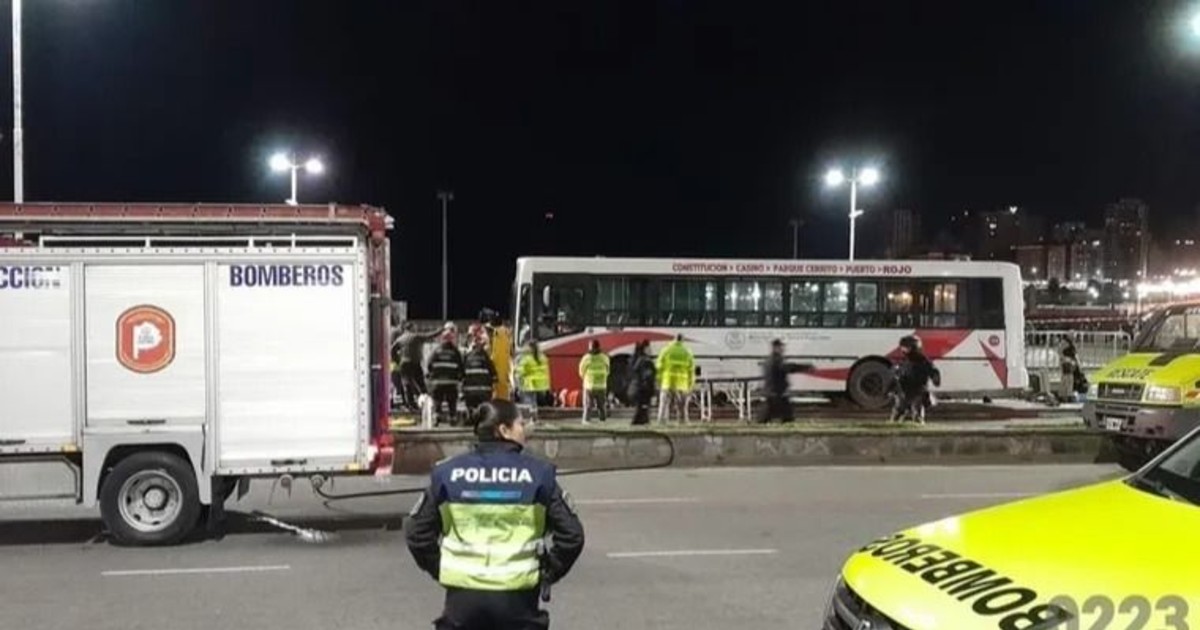 Un colectivo atropelló a seis personas en una parada y murió una mujer