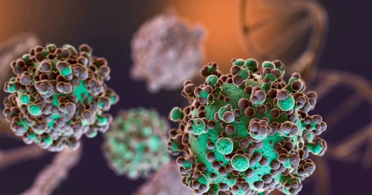 Hantavirus: murió una mujer que se encontraba internada en Bariloche