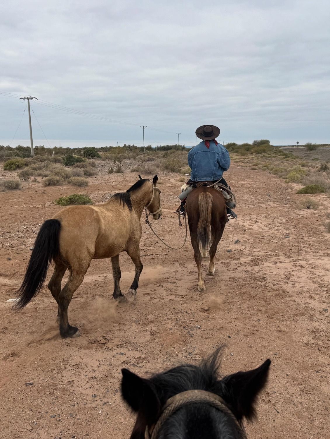 El gaucho que cruza Argentina a caballo y asegura que la Difunta Correa salvó a sus animales en medio de la travesía