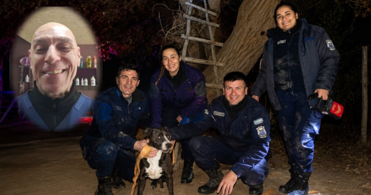 La misteriosa aparición de un perro arriba de un árbol en 9 de Julio: la explicación de un experto