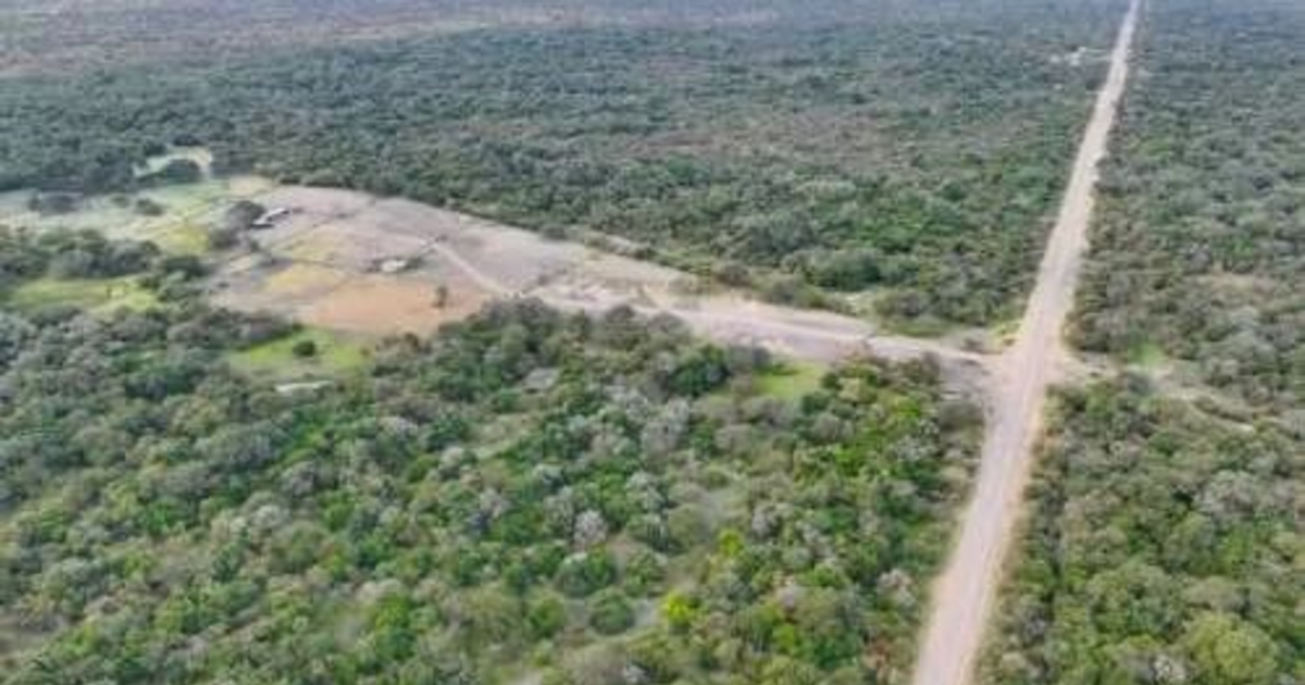 El "oro invisible" de la tecnología: Corrientes se mete en la carrera minera y sale a buscar tierras raras