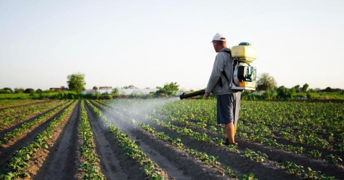 Apoyo al campo: lanzan créditos de hasta $30 millones para que productores sanjuaninos compren agroquímicos