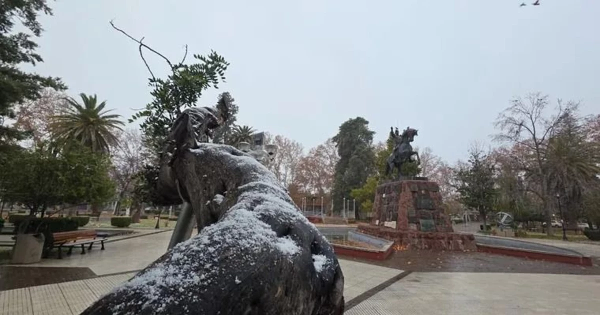 El frente polar cubrió de nieve parte del Gran Mendoza: el inusual fenómeno sorprendió en zonas del llano