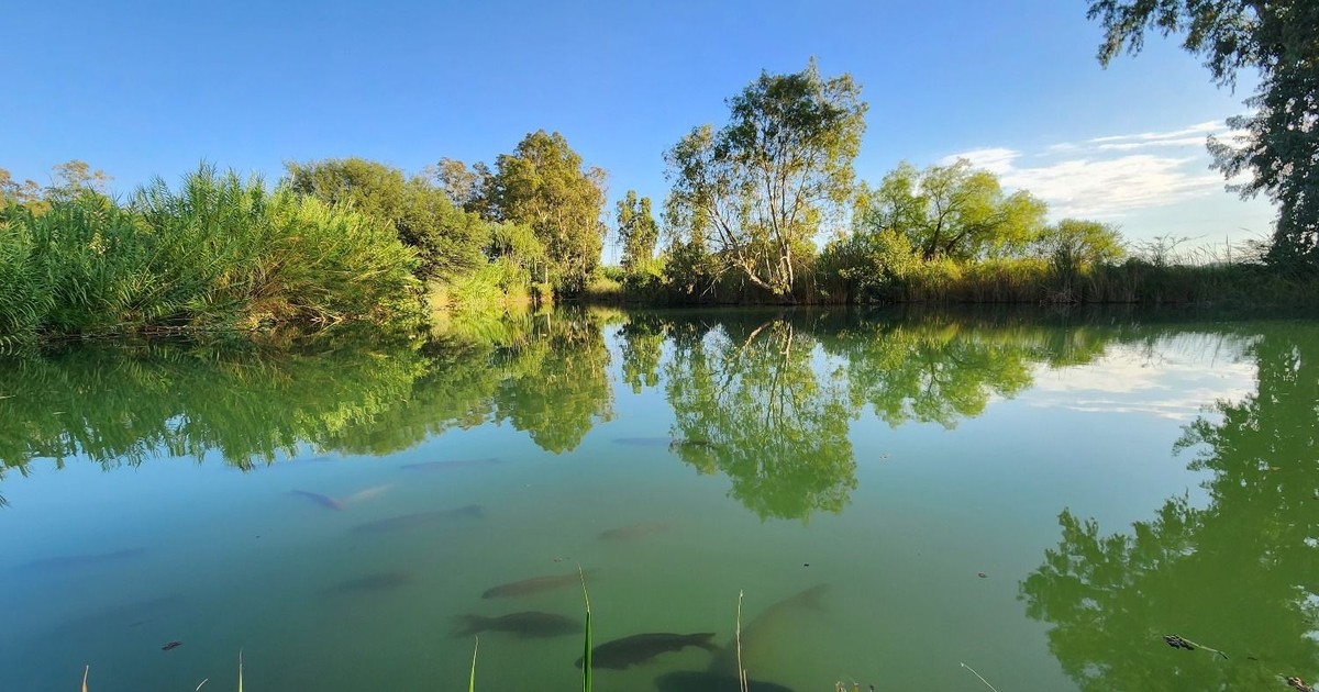 Vacaciones en San Juan: el Parque de la Biodiversidad se llena de actividades gratuitas para toda la familia