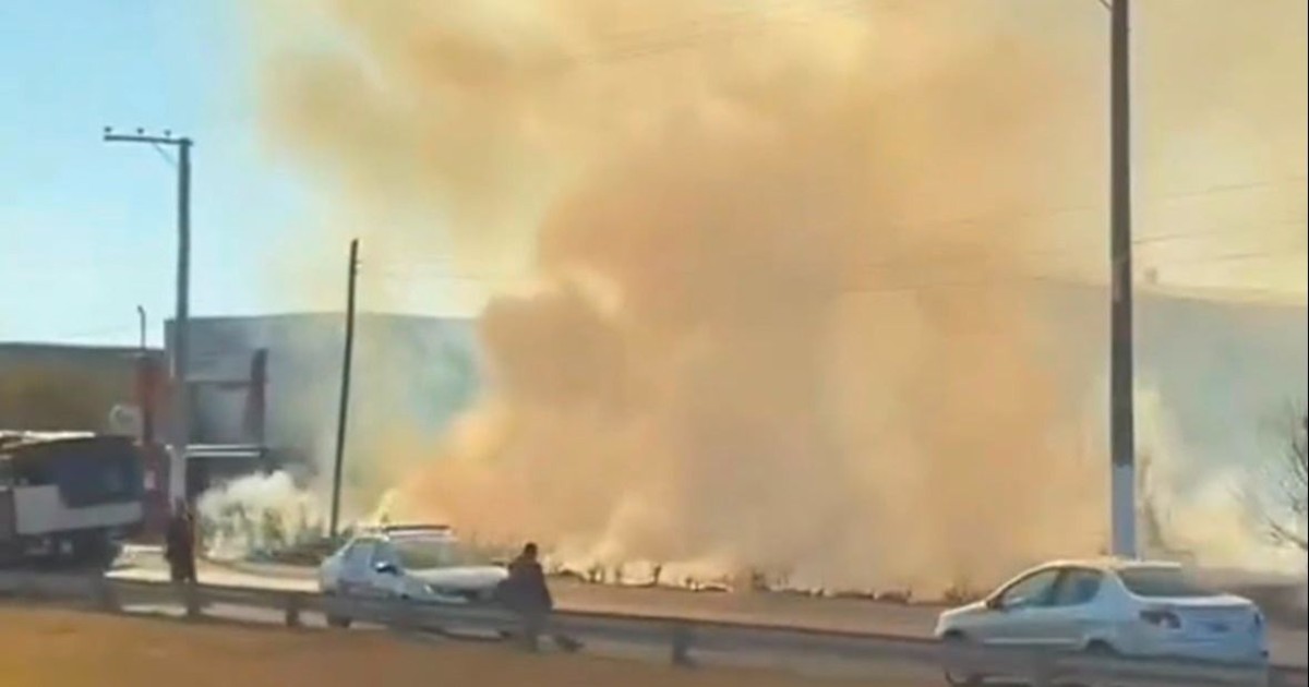 Susto en Capital por un incendio en un cañaveral junto a Ruta 40