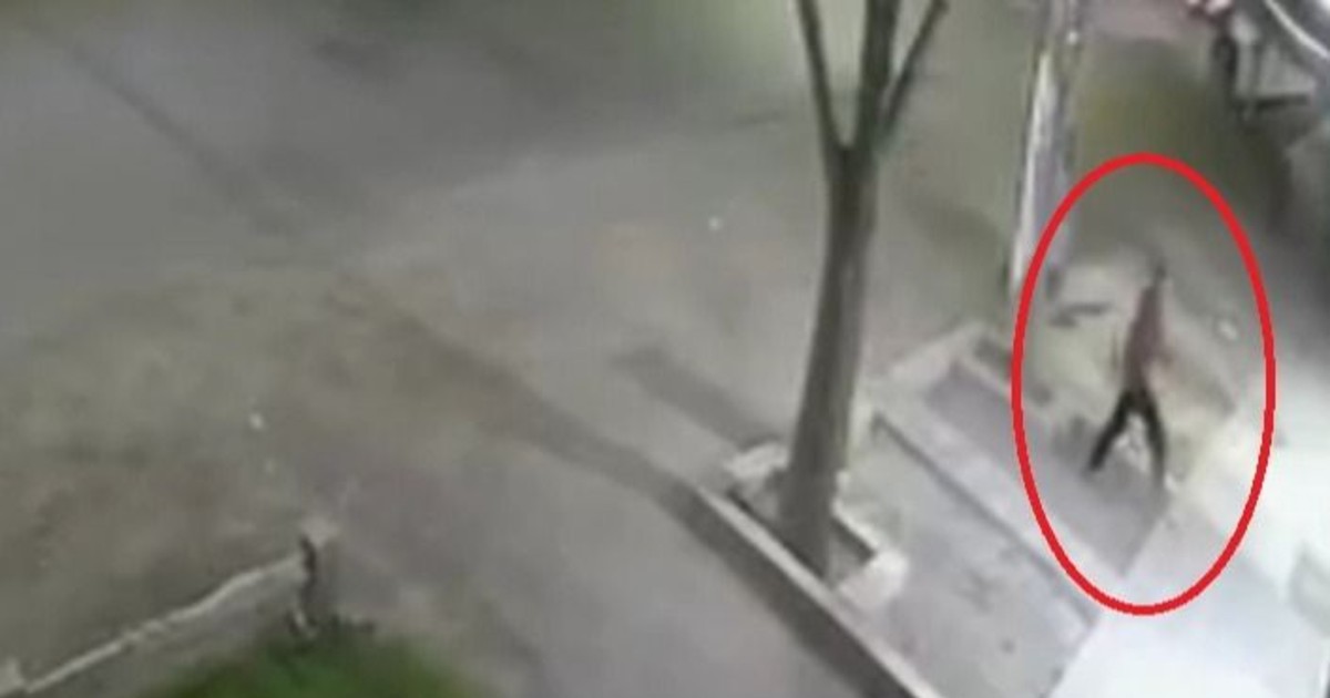 Filmaron a &amp;quot;Spiderman&amp;quot; robando un reflector en un local de Rivadavia: en video, cómo alcanzó el artefacto