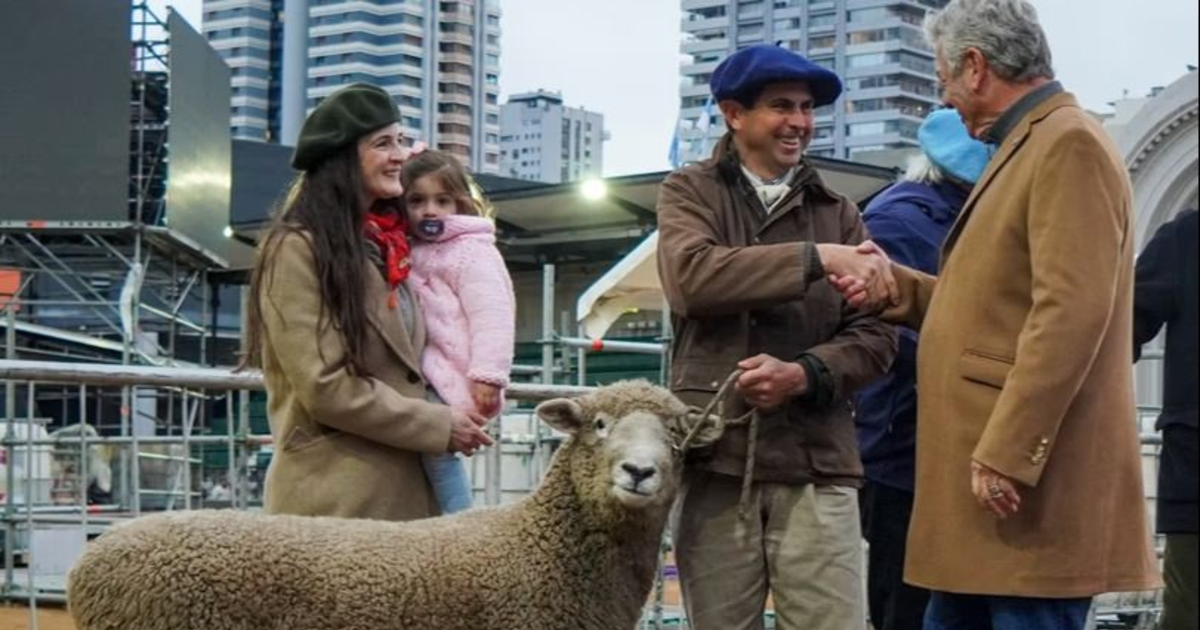 "Tim Payne", el carnero que inauguró la 138ª Exposición Rural de Palermo