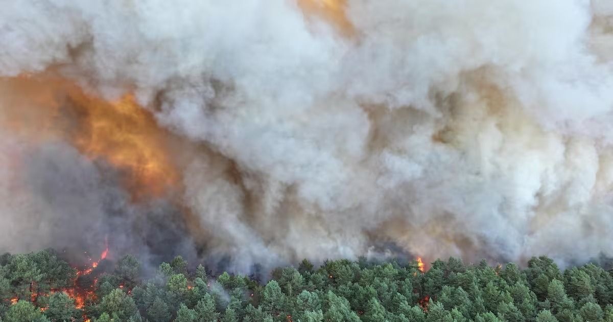 Insólito: Un bombero, detenido por incendiar 2.000 hectáreas de bosque