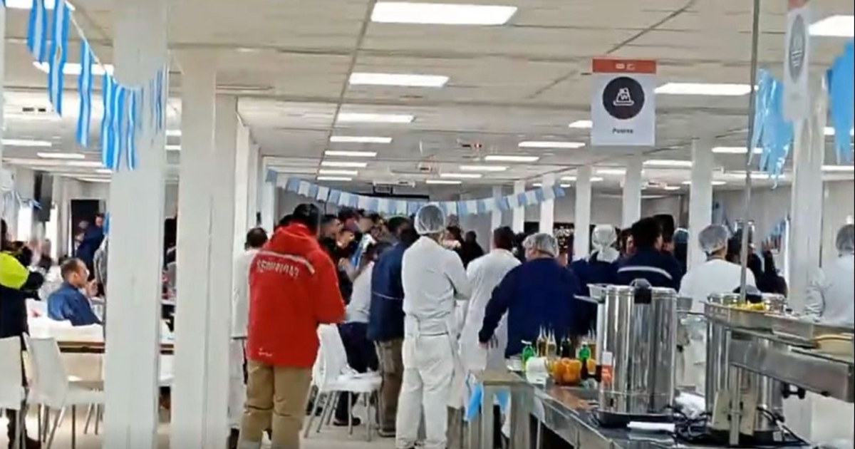 Fiebre mundialista en la cordillera: el estallido de júbilo en el Proyecto Vicuña tras la consagración de Argentina