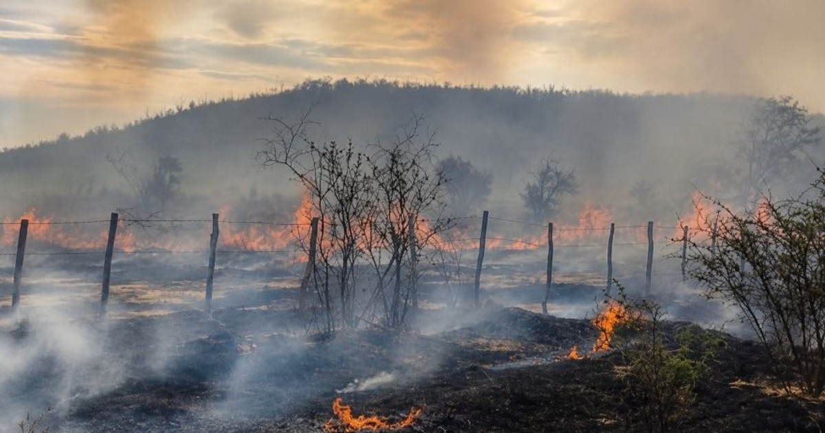 Un incendio arrasó con tres hectáreas y casi quema una vivienda en Jáchal: hay tres detenidos