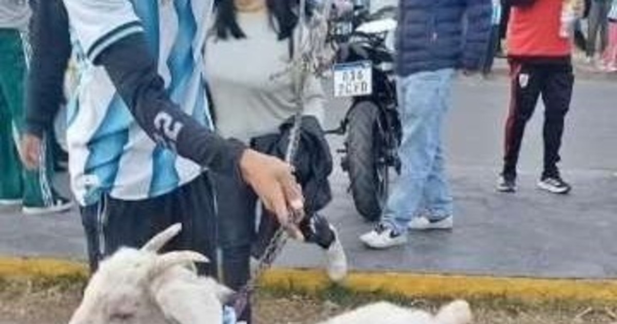 Las imágenes sanjuaninas más bizarras que dejó el festejo por el batacazo de Argentina