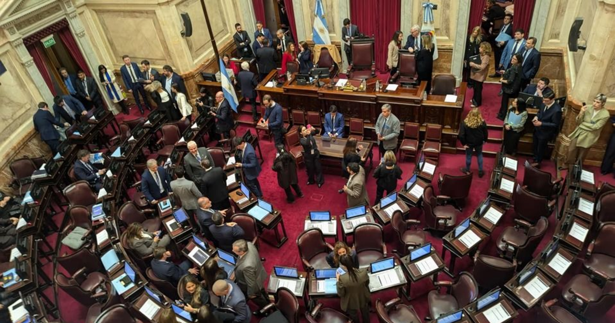 El Senado postergó hasta agosto el debate del proyecto de Propiedad Privada