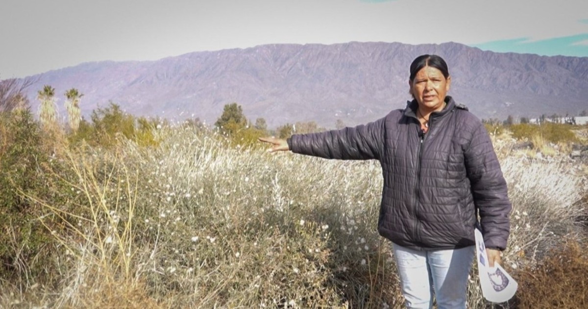 Por la polémica revisión del fallo por el femicidio de Talía Recabarren, piden formalmente ser querellantes