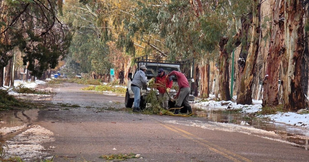 Emitieron alerta amarilla por nevadas en varias zonas de San Juan: cuáles son los departamentos afectados