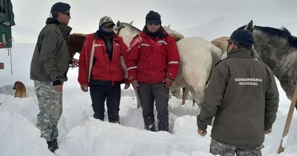 Gendarmes evacuaron a dos puesteros aislados por el intenso temporal de nieve en Iglesia