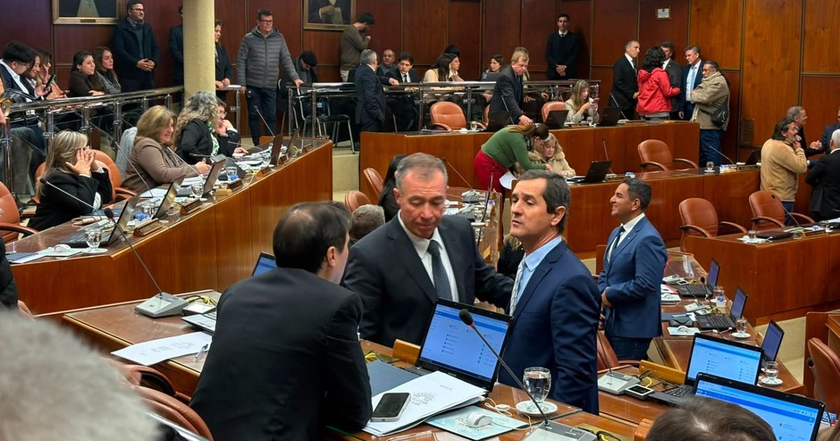 Sesión exprés en Diputados:prorrogaron la emergencia en la Policía, hubo un &amp;quot;pequeño triunfo&amp;quot; del PJ y declararon de interés Medicina